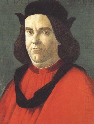 Sandro Botticelli Portrait of Lorenzo de'Lorenzi china oil painting image